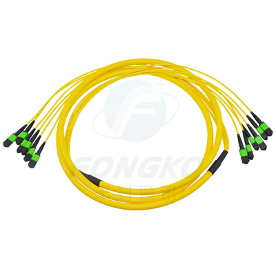 MPO MTP FTTH 光ファイバーパッチコード マルチモード 男性 女性 LC-MPO 12コア